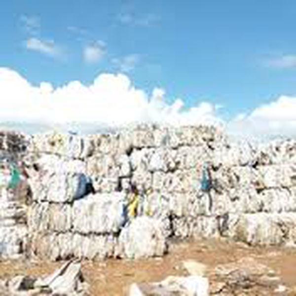 Sucatas de Rafia braca - Plástico