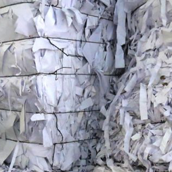 Apara papel 100% celulose - outros - JUNDIAI, SP - B2Blue - Compra e Venda de Resíduos