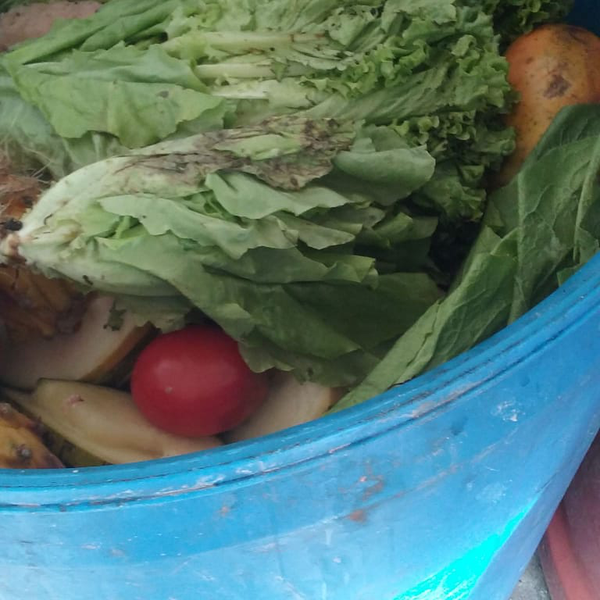 Orgânicos (hortaliças - Orgânicos