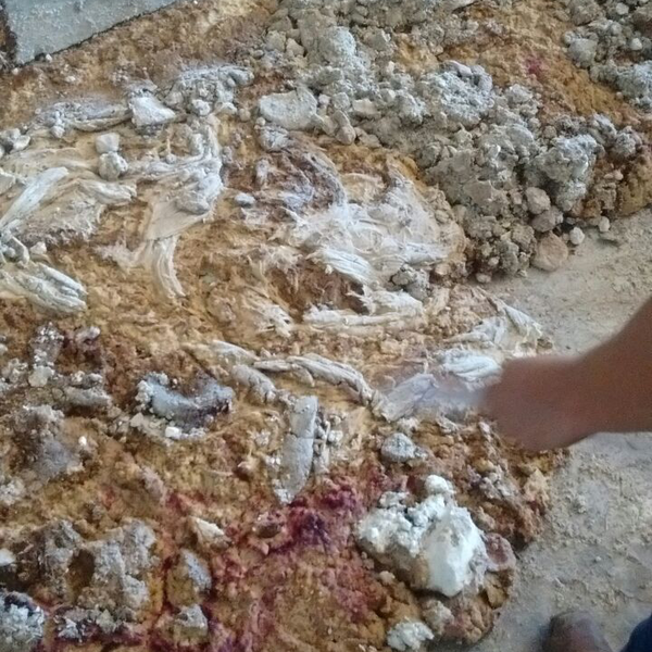 Massa crua - orgânicos - Itu, SP - B2Blue - Compra e Venda de Resíduos