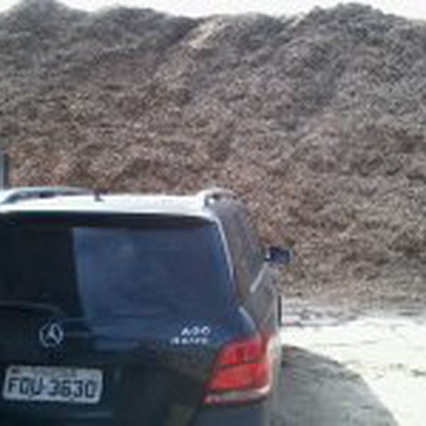 Madeira triturada - biomassa - Madeira