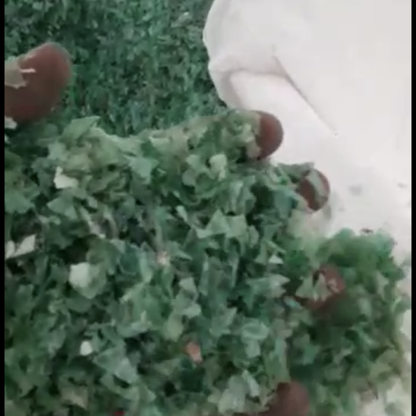 Flake de pet - plástico - DIVINOPOLIS, MG - B2Blue - Compra e Venda de Resíduos