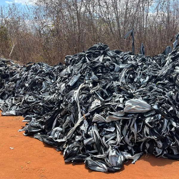 Resíduo: Mulching - B2Blue  - Compra e Venda de Resíduos