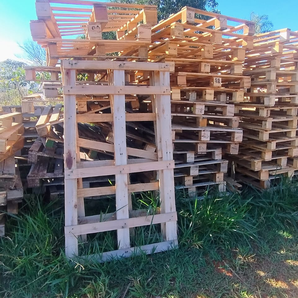 Palet descartaveis - madeira - , MG - B2Blue - Compra e Venda de Resíduos