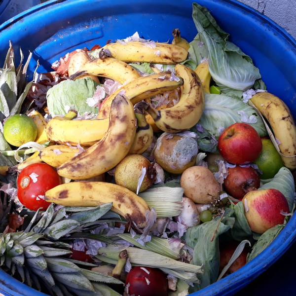 Orgânicos (hortaliças - orgânicos - Petrópolis, RJ - B2Blue - Compra e Venda de Resíduos