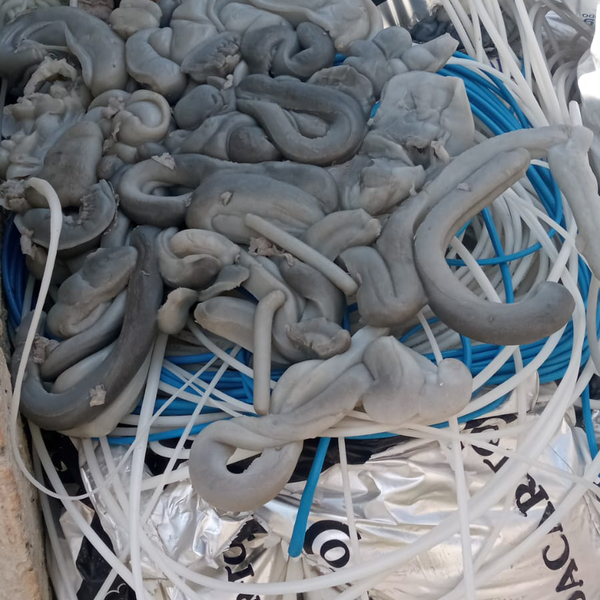 Xlpe (capas de cabos) - plástico - Irati, PR - B2Blue - Compra e Venda de Resíduos