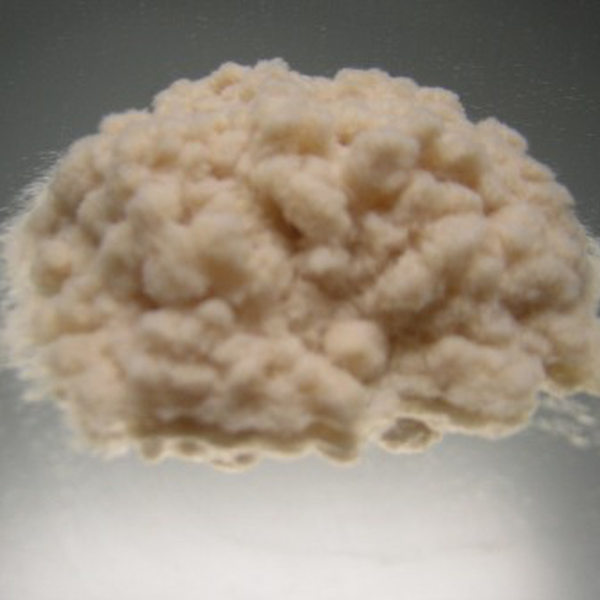 Resíduo: Vendo pó de nylon 66 branco para extrusão - B2Blue  - Compra e Venda de Resíduos
