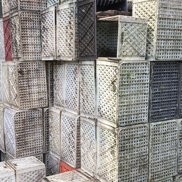 Caixa plastica - outros - Suzano, SP - B2Blue - Compra e Venda de Resíduos