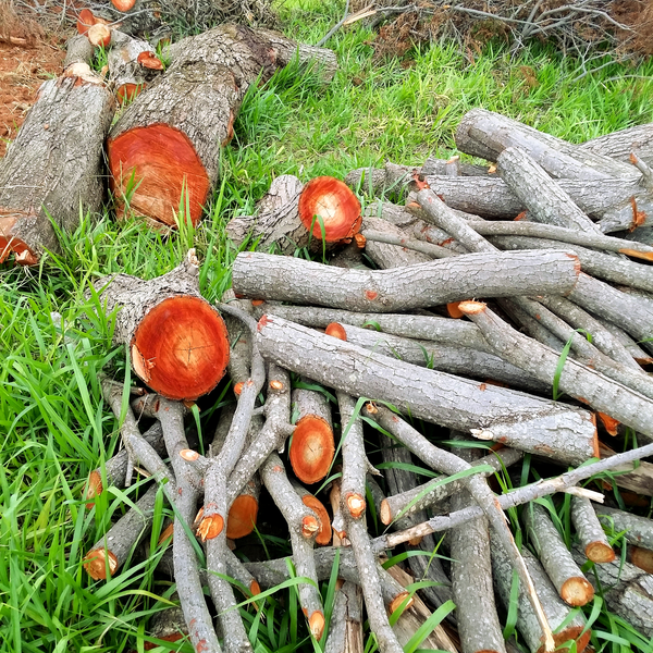 Resíduos de madeira - Madeira