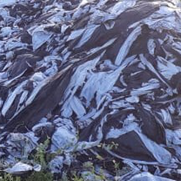 Resíduo: Lona plástica (mulching) - B2Blue  - Compra e Venda de Resíduos