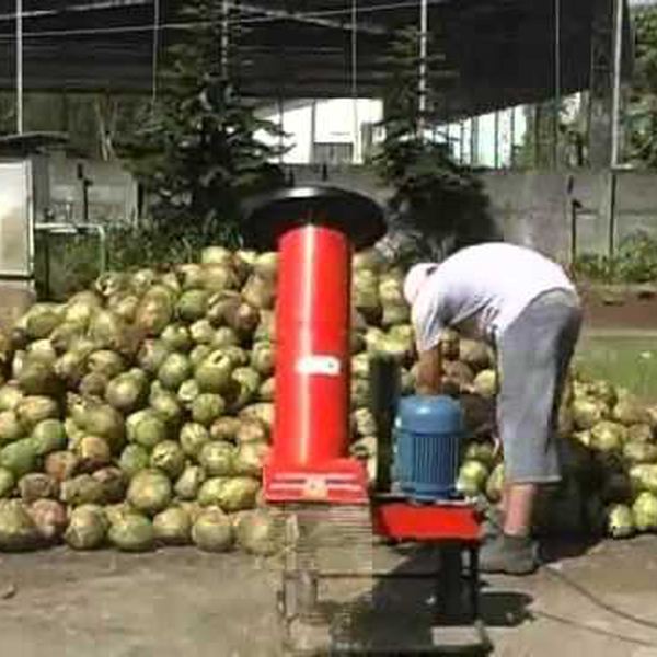 Resíduo: Coco de praia - B2Blue  - Compra e Venda de Resíduos
