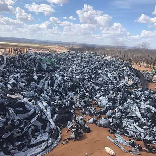 Mulching - outros - BRASILIA, DF - B2Blue - Compra e Venda de Resíduos