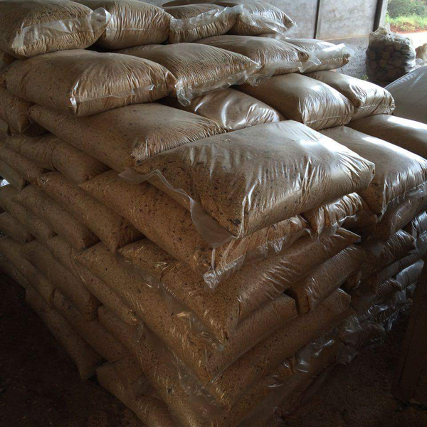 Pó de serragem - Madeira