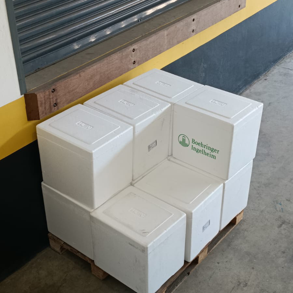 Isopor - plástico - SAO PAULO, SP - B2Blue - Compra e Venda de Resíduos