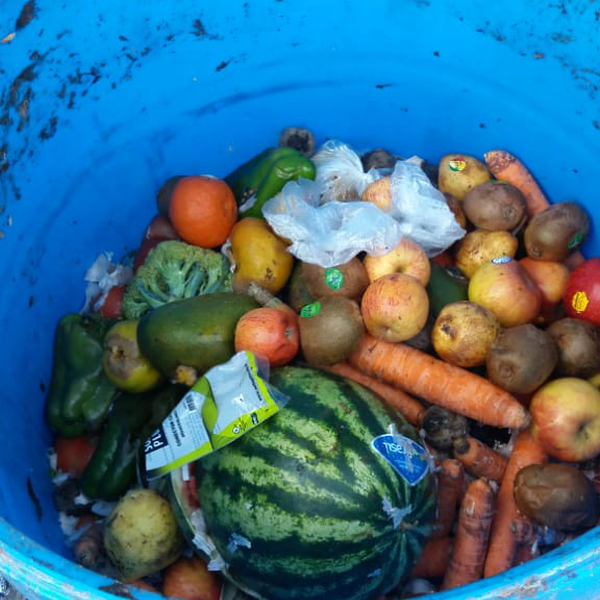 Orgânicos (hortaliças - Orgânicos