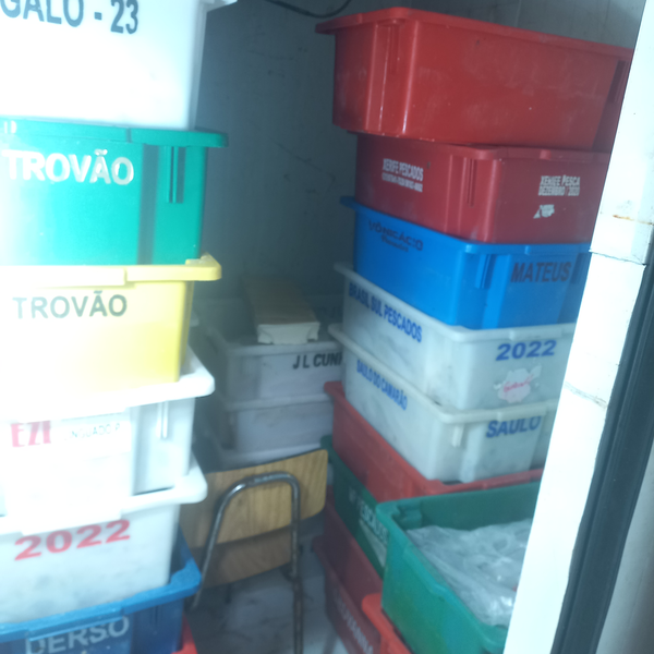 Resíduo: Usable organic - B2Blue  - Compra e Venda de Resíduos