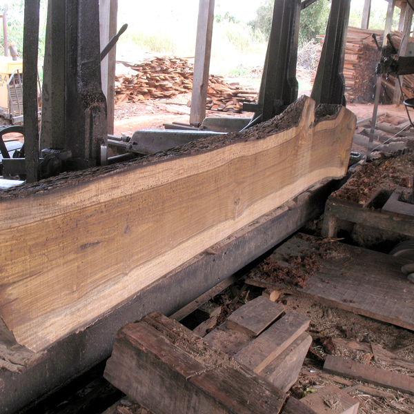Resíduo de Poda - Madeira