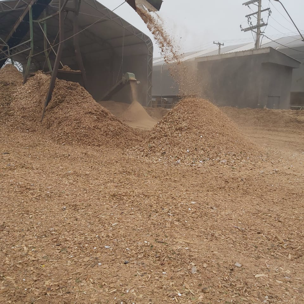 Serragem - madeira - São Paulo, SP - B2Blue - Compra e Venda de Resíduos