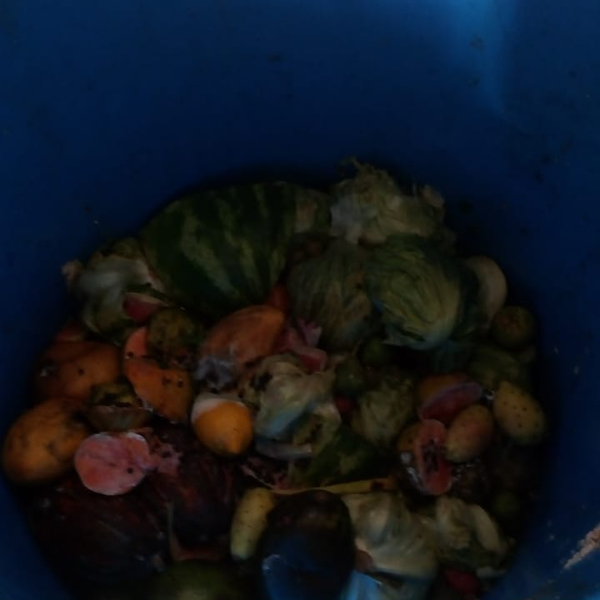 Orgânicos (hortaliças - Orgânicos