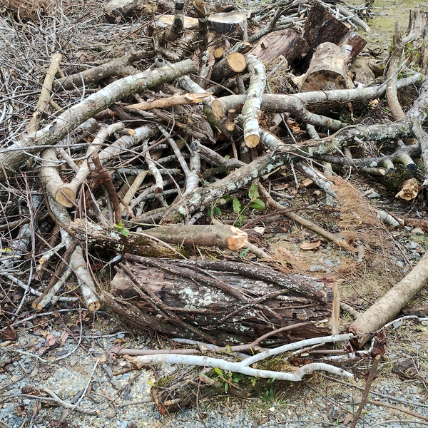 Resíduo: Madeira - B2Blue  - Compra e Venda de Resíduos