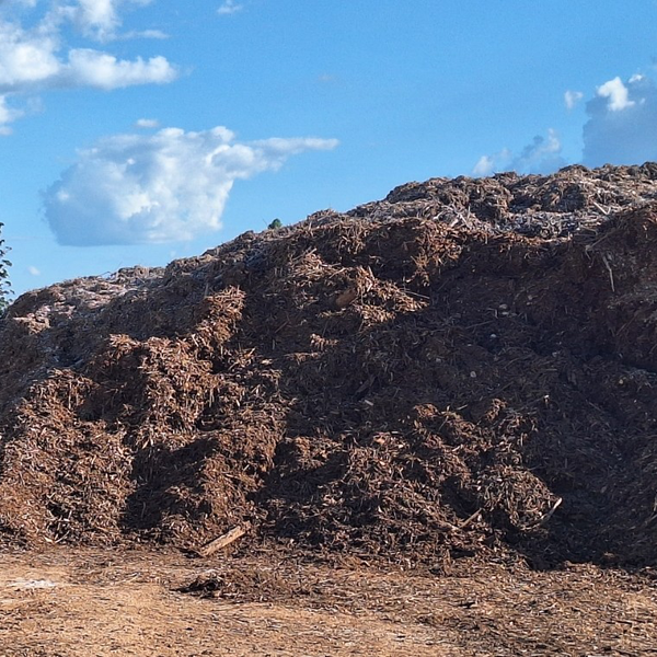 Resíduo: Biomass (wood chips) - B2Blue  - Compra e Venda de Resíduos