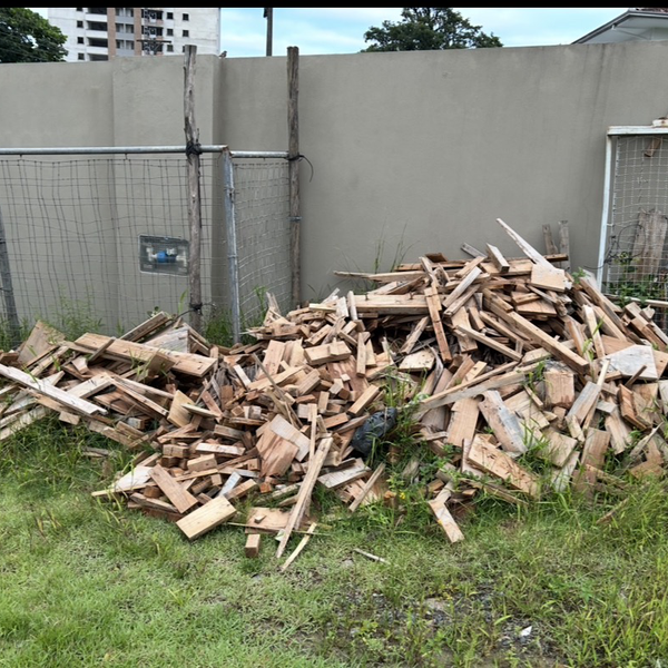 Lenha de pinus - outros - Joinville, SC - B2Blue - Compra e Venda de Resíduos