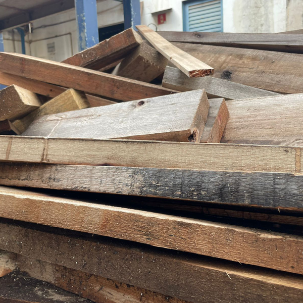 Resíduo: Eucalipto - B2Blue  - Compra e Venda de Resíduos