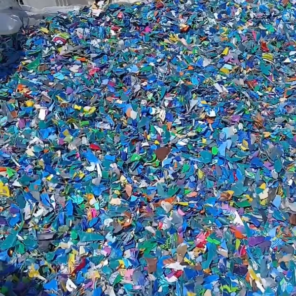 Flake de garrafinha colorida - outros - Nova Iguacu, RJ - B2Blue - Compra e Venda de Resíduos
