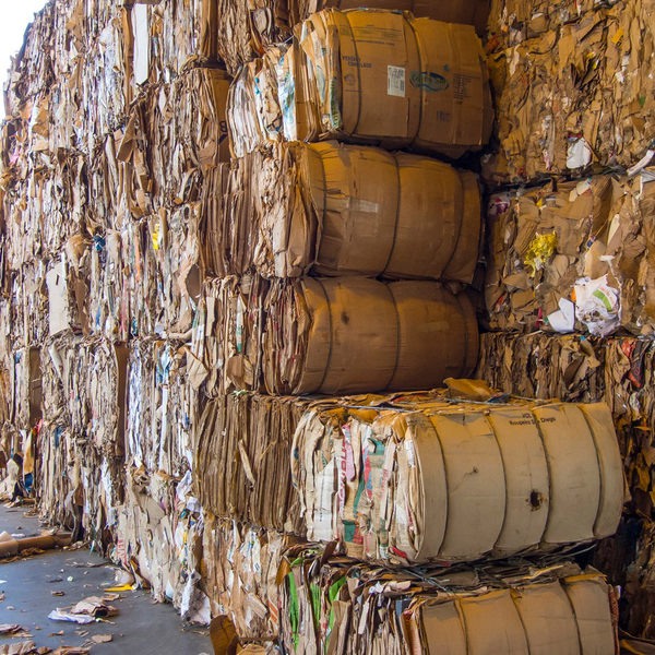 Papéis - papel/papelão - Maringá, PR - B2Blue - Compra e Venda de Resíduos
