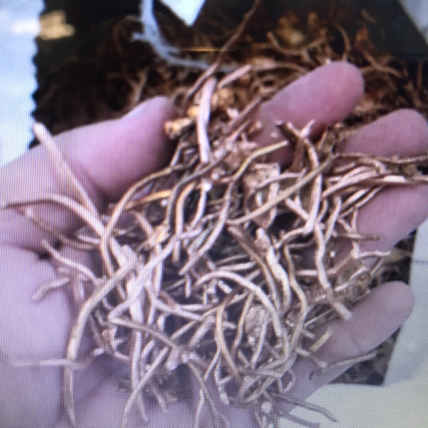 Resíduo: Cobre sucata - B2Blue  - Compra e Venda de Resíduos