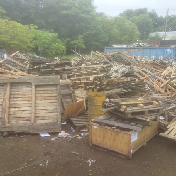 Madeira - madeira - Americana, SP - B2Blue - Compra e Venda de Resíduos
