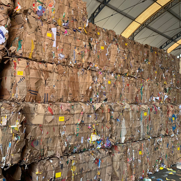 Pape lao - papel/papelão - Suzano, SP - B2Blue - Compra e Venda de Resíduos