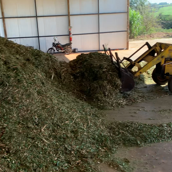 Resíduo: Madeira e folhagem triturados de poda de arvores - B2Blue  - Compra e Venda de Resíduos