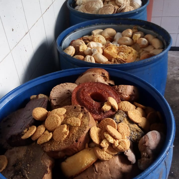 Resíduo: Orgânicos - B2Blue  - Compra e Venda de Resíduos