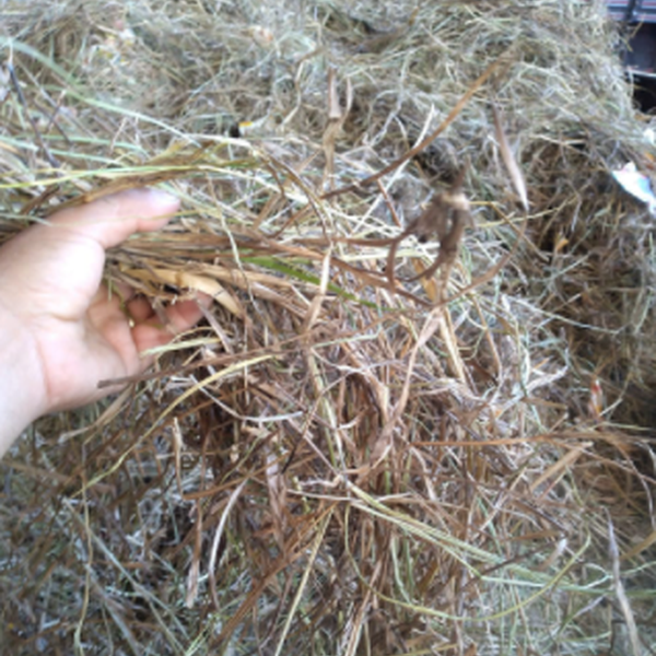 Resíduo: Palha - B2Blue  - Compra e Venda de Resíduos