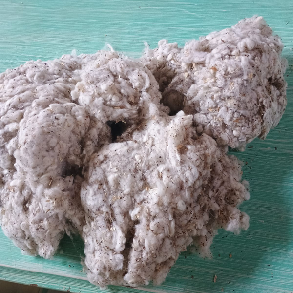 Piolho b - outros - São Paulo, SP - B2Blue - Compra e Venda de Resíduos