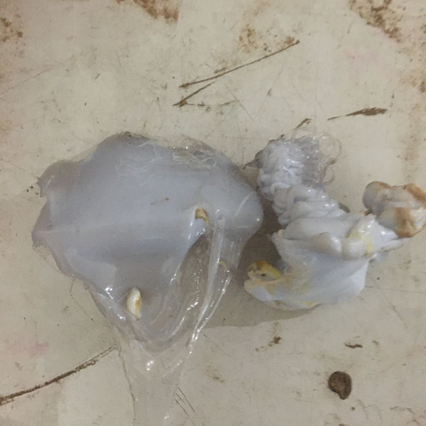 Resíduo: Borras de pet - B2Blue  - Compra e Venda de Resíduos