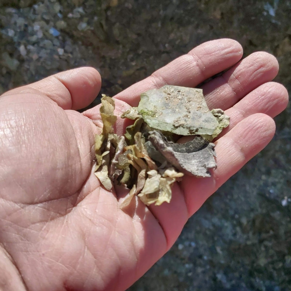 Polivinil butiral(pvb) - excluir - Poá, SP - B2Blue - Compra e Venda de Resíduos