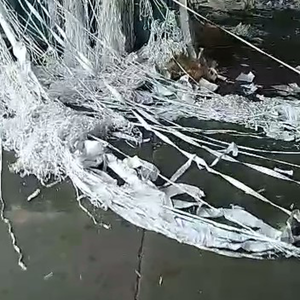 Papel de grafica - outros - ARUJA, SP - B2Blue - Compra e Venda de Resíduos