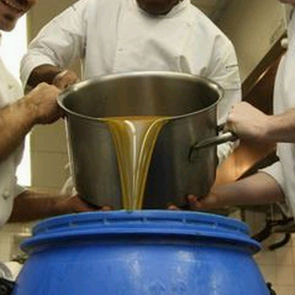 Residuo organicos e oleo de cozinha usado - orgânicos - Mogi Das Cruzes, SP - B2Blue - Compra e Venda de Resíduos