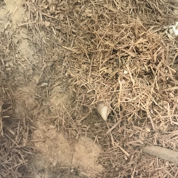 Pó de serragem e tocos de madeira - madeira - SAO PAULO, SP - B2Blue - Compra e Venda de Resíduos