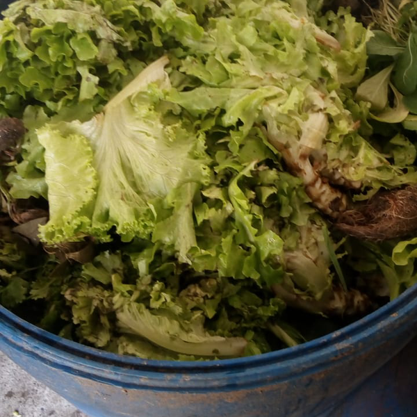 Resíduo: Orgânicos (hortaliças - B2Blue  - Compra e Venda de Resíduos