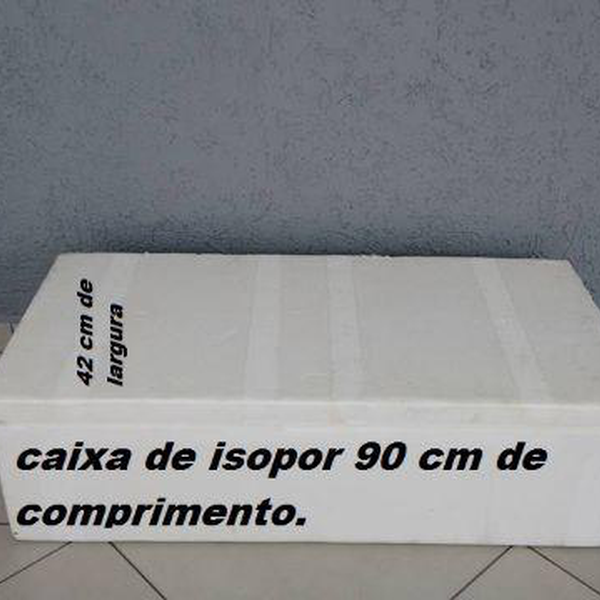 Caixa de isopor - plástico - Olinda, PE - B2Blue - Compra e Venda de Resíduos