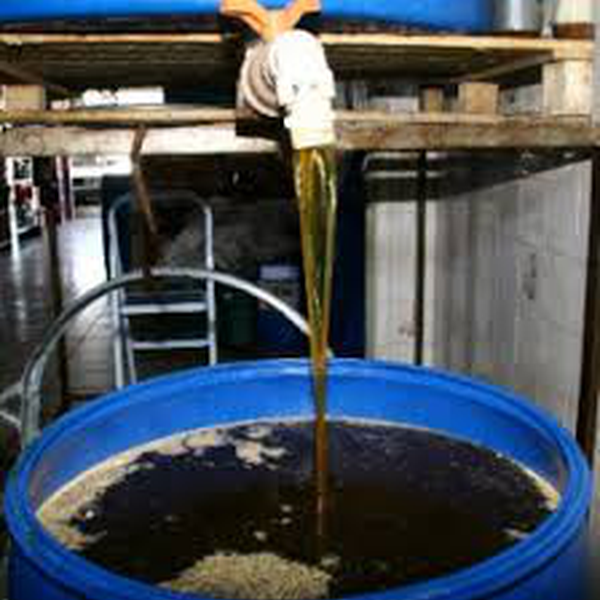 Óleo de cozinha/vegetal - orgânicos - Tiete, SP - B2Blue - Compra e Venda de Resíduos