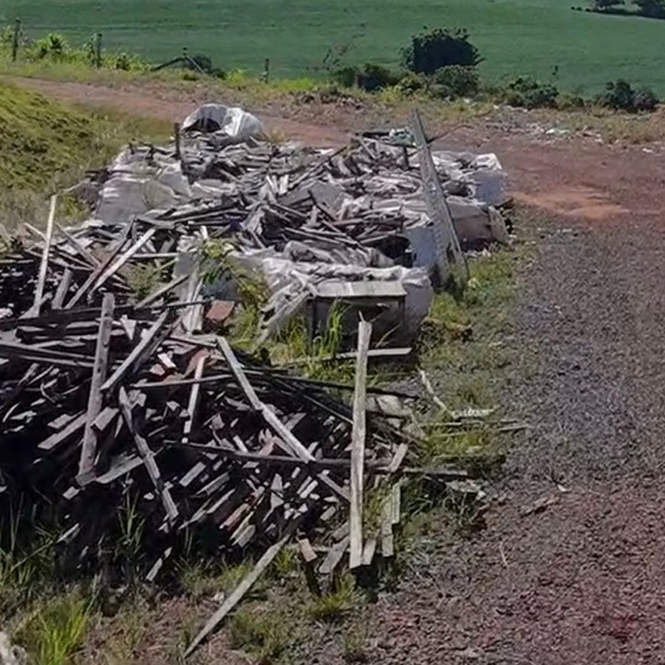 Resíduo: Eucalipto - B2Blue  - Compra e Venda de Resíduos