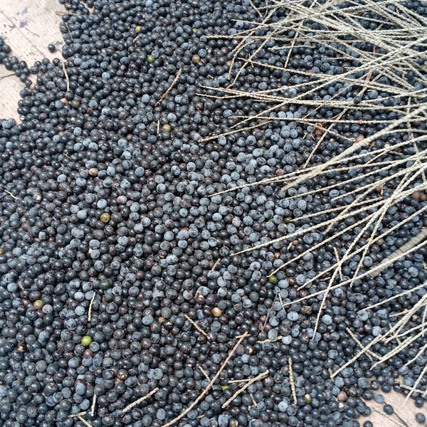 Resíduo: Caroço de açai - B2Blue  - Compra e Venda de Resíduos