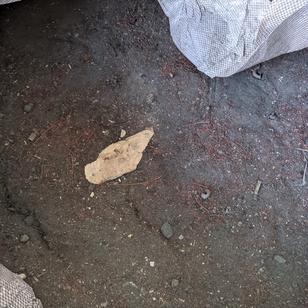 Resíduo: Terra de cobre - B2Blue  - Compra e Venda de Resíduos