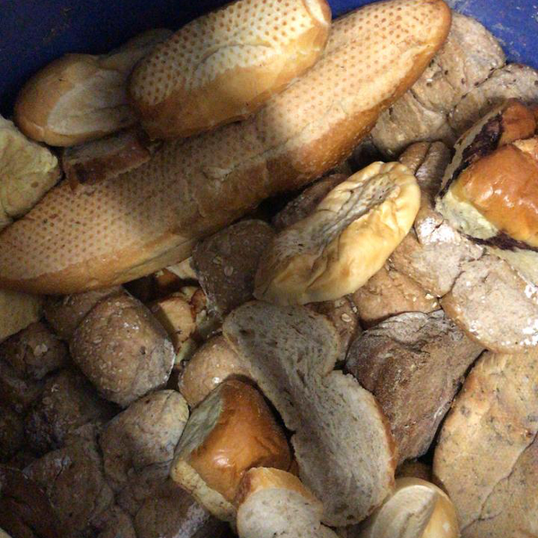 Orgânico - orgânicos - Araruama, RJ - B2Blue - Compra e Venda de Resíduos