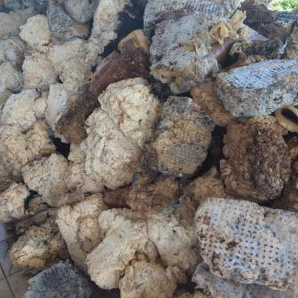 Resíduos de borracha - borracha - Xapuri, AC - B2Blue - Compra e Venda de Resíduos