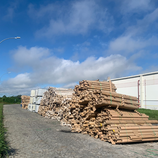 tubet de papelão - Papel/Papelão